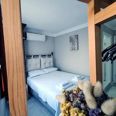 Hotel Aim 3*